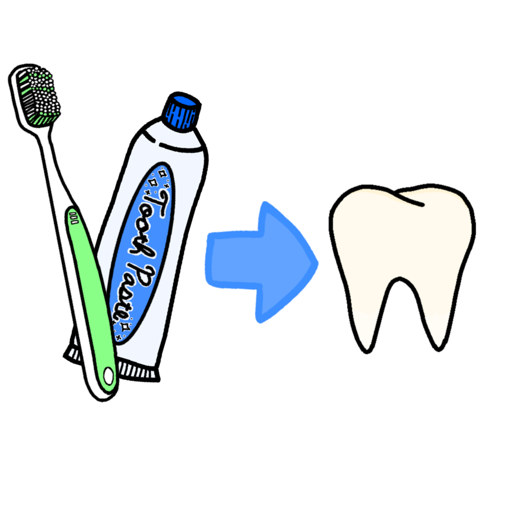 a toothbrush and toothpaste next to each other with a blue arrow pointing to a singular tooth. 